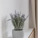 Inmyhome I